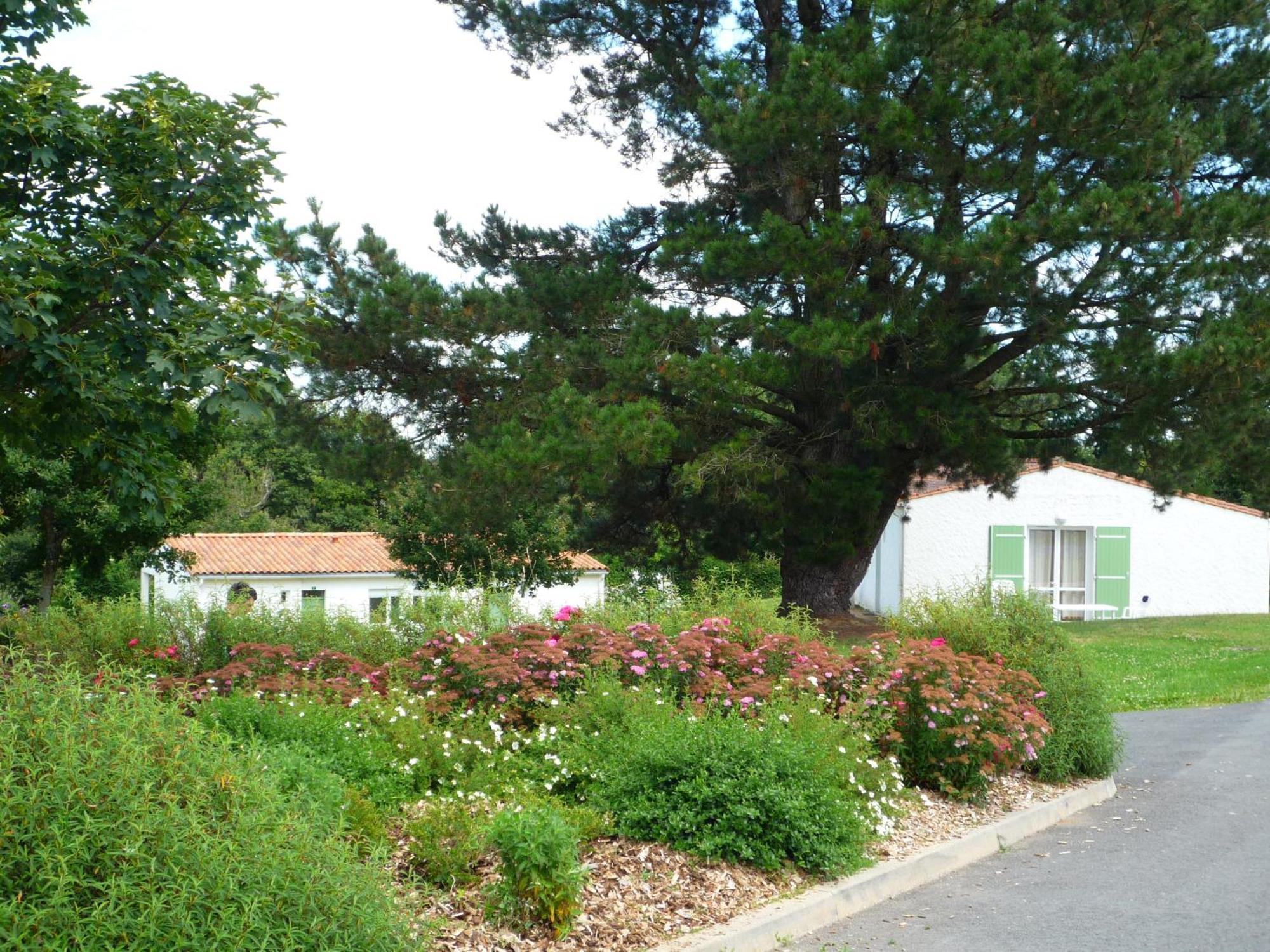 Village Vacances De Chantonnay Eksteriør bilde